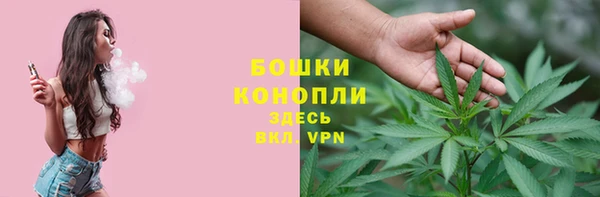 стафф Зеленокумск
