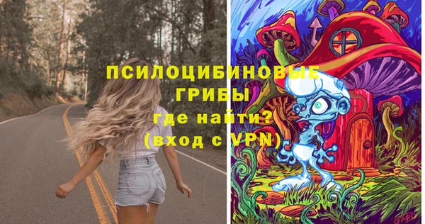 ПСИЛОЦИБИНОВЫЕ ГРИБЫ Зеленодольск