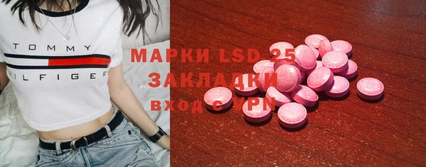 стафф Зеленокумск